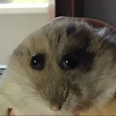 weks923863's profile picture. 