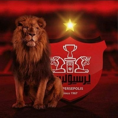 ورزش💪..پرسپولیس♥️💯
سالهاست منتظر آمدنِ روزهای بهترم. ولی نمیدانم چرا هنوز هم
دیروزها بهترند.🌹💯