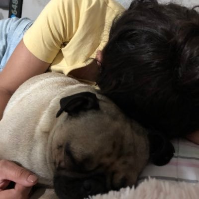 rango_elpug's profile picture. practico muchos deportes pero en ninguno soy buena. aquí hablo de temas electorales, identificación de insectos y cualquier otro tema que me llame la atención