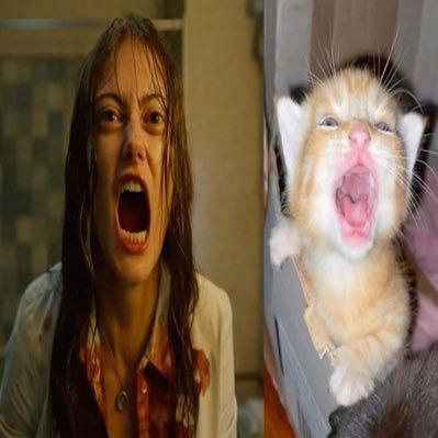 starlettoss's profile picture. what the fuck vecna ✮ #deathtomikewheeler2023