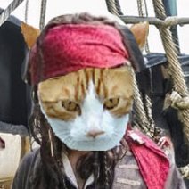 Orange kitty got rescued f/woods 7-13-12 is Gotcha Day. Lucky me! Mainly follow cats! NJ, USA. Rear Admiral in #ZSHQ, #theruffriderz, #Weetie BD 5-16-2012🌊