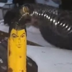 Josuke Bananaさんのプロフィール画像