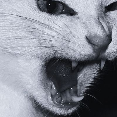 vae_72826's profile picture. 