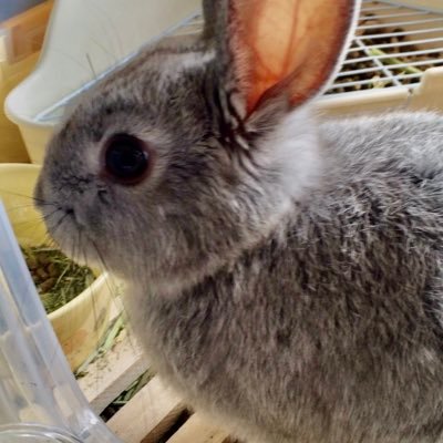 G1fPthk2qOAB3EO's profile picture. フォロー外からでもすぐにリプ入れてしまうお調子者です。できましたらご寛恕下さいませ。猫好き、アクアリウム好き 、読書、怪談好きです。よろしく