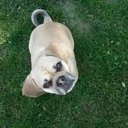 Bradley Garza - @bradlegarz - Twitter