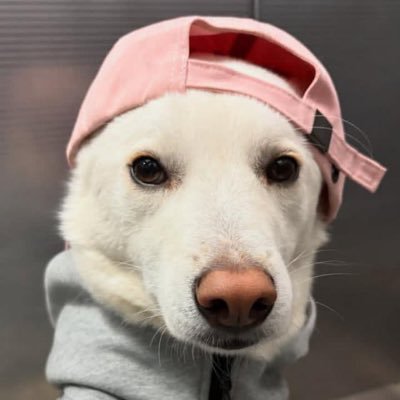 EseDebby15631's profile picture. WEB3 ENTHUSIAST || COMMUNITY MODERATOR 💯🌴Building communities, trading crypto. It's a vibe ✨🚀