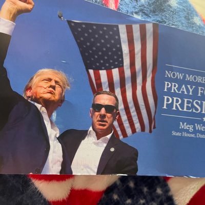BeachDayRide's profile picture. 