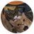 unontebierre's profile image