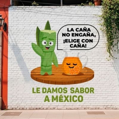 Guadalajara, Jalisco. Ingeniero Industrial. Productor de Caña de Azúcar - Presidente Unión Nacional de Cañeros, AC - CNPR
