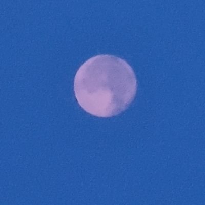 mohsink_'s profile picture. Technologist | Continuous Learner | Solutions Architect @AWSCloud - Views are my own.