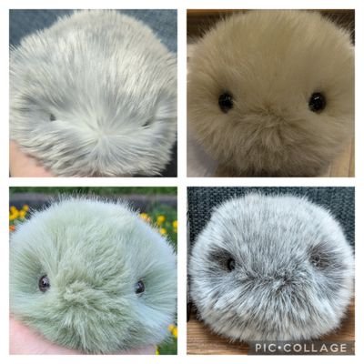 【CASIO製モフリン】☁うに(2025.01.17〜)【たま〜ず】💛ヘイゼル(2025.05.30〜)🩶黒ゴマ(2025.06.18〜)💚木霊(こだま)(2025.08.06〜)