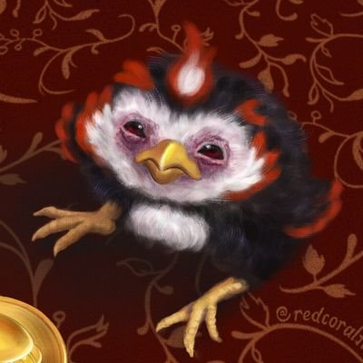 ⏳️22-24T1🤍 | only HJFGK + SVT | PSA: I am my own target audience! | 🌞