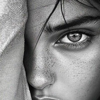 AlshafNwal31289's profile picture. 