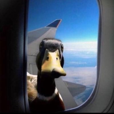 ParkDainCS's profile picture. REP // https://t.co/oXrNajK5Za