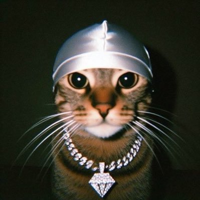 GbTambel_'s profile picture. Sla gente, quem tem conta no Twitter em 2025