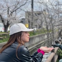 みらい (@mirai_shelikes) 's Twitter Profile