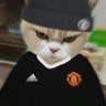 toma_t022's profile picture. @ManUtd Manchester is Red🔥❤️ 05