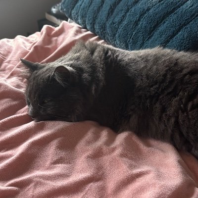 TristateB91418's profile picture. Mark