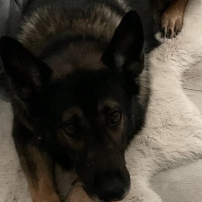 Homey581's profile picture. 