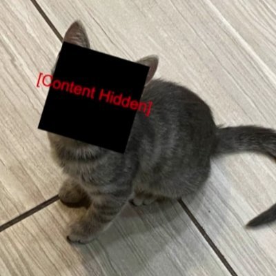 Qrevlew_0016's profile picture. They/them
Just some hooligan who likes and hates a lot of things
They seem to like making art
A naturally kind person except under certain scenarios
meow meow!