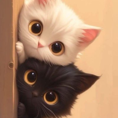 @ kitty_🐈 Profile