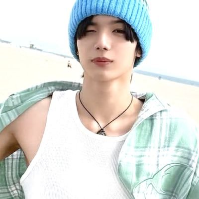 Lee, H Profile