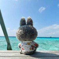 Eetalid (@eetalid12554) 's Twitter Profile