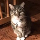 Teri Applebaum - @1969Teri - Twitter