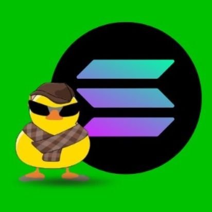 duckchart_onsol's profile picture. 