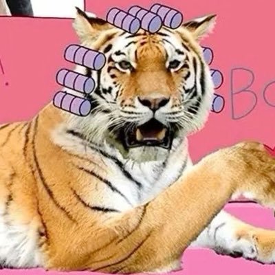 1maariifeer_'s profile picture. idk