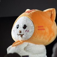 lemonade27 (@astronaut0027) 's Twitter Profile