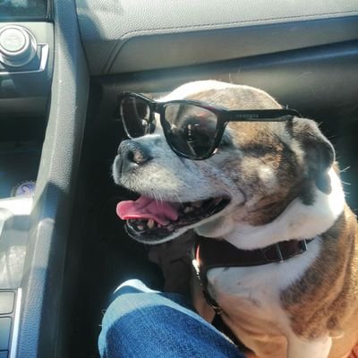 cpinto013's profile picture. Informatica, literatura, vida