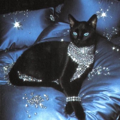 channelkeeks's profile picture. pasar el cielo 🐍