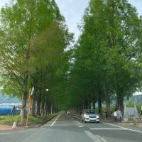 Biさん (@a_hiromi21941) 's Twitter Profile