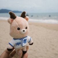 🌻쓰웨이🌻 (@weiwei1217) 's Twitter Profile
