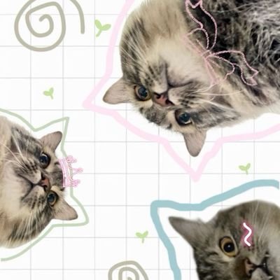 Diane_478's profile picture. 