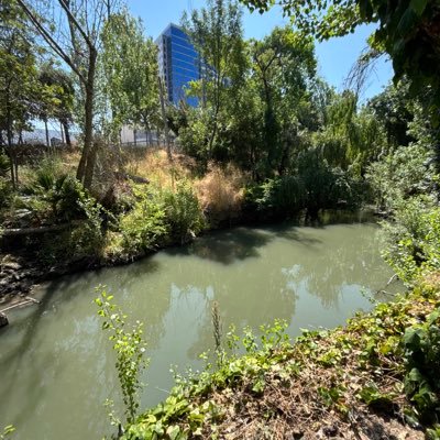 dareal_mob's profile picture. 