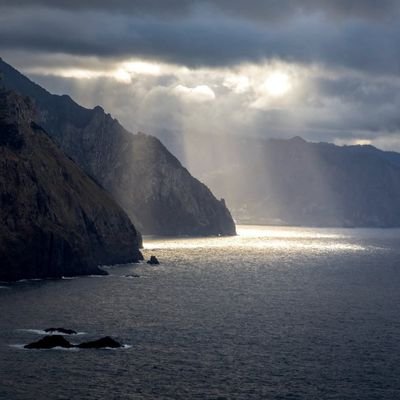 DashenSCJ's profile picture. 推界清流，只发精品