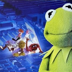 humanisque's profile picture. shitpoasting in seattle