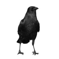 UBBE (@ashe73812681007) 's Twitter Profile Photo UBBE (@ashe73812681007) 's Twitter Profile Photo