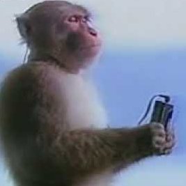 Vibronial's profile picture. Physicist with vaporware.