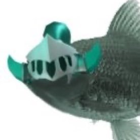 bUxVolleY's profile picture. An account for following artists.