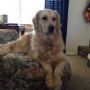 Glenn Haynes - @HaynesGlenn - Twitter