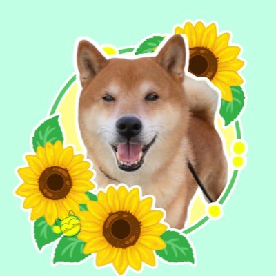 土下座ハイタッチXさんのプロフィール画像