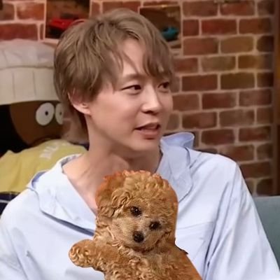 junkomama0612's profile picture. 2008年からのユチョペンです🙂‍↕️　　　画像・動画の拝借をお許しください🙇

たまぁ〜に推しに絡んでくるアンチ💩には荒ぶります🙏