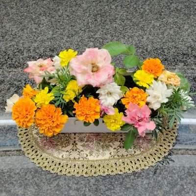 FXJTSwWBVo59525's profile picture. x始めました　よろしく
淡路島出身、編み物、
スパイ防止法制定