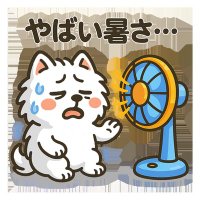 hnk style lab (@honoka_style_la) Twitter profile photo