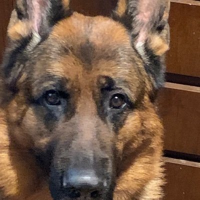 Brenton89548964's profile picture. 