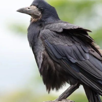 douglareid's profile picture. Amo minha Família