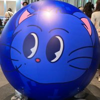 🧡寝子🩵 (@minamoto_0128) 's Twitter Profile